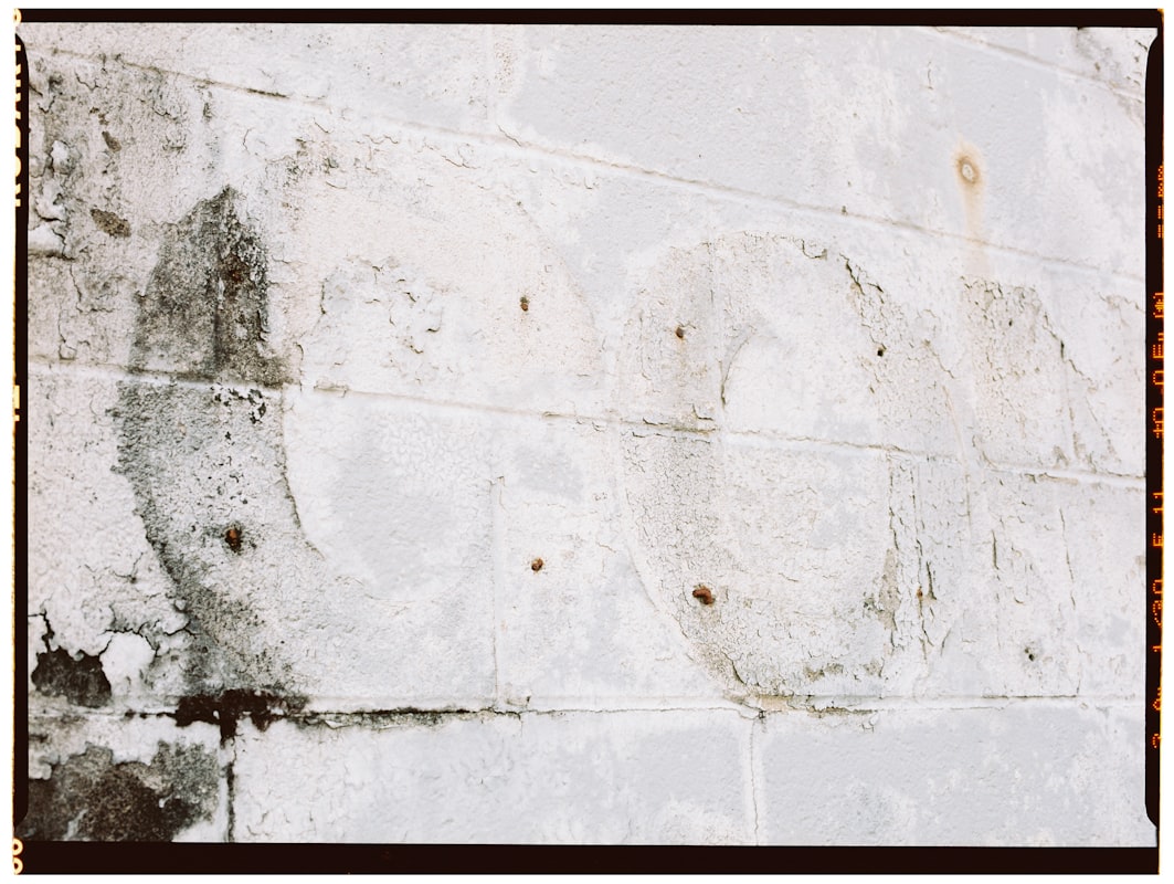 Storm Damage Repair service in Lakeland, FL